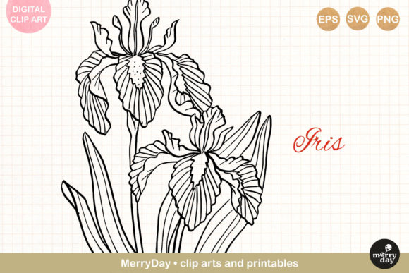 A Versatile Iris Illustration for Elegant Graphic Design