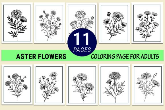 Aster Flower Graphics for Sophisticated Branding & Content