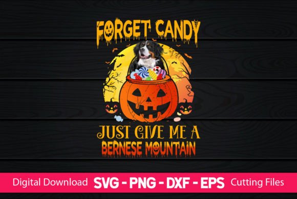 Just Give Me a Bernese Mountain: A Designer's Review